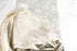 Silver and Champagne Gold Modern Damask Designer Fabric 116 inches width by the yard